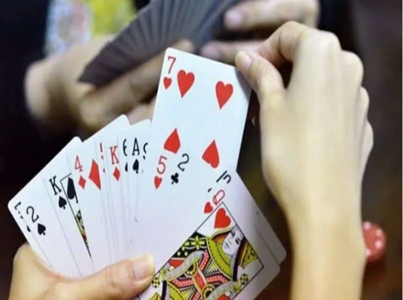 Hướng dẫn cách chơi bài tấn cho người mới bắt đầu